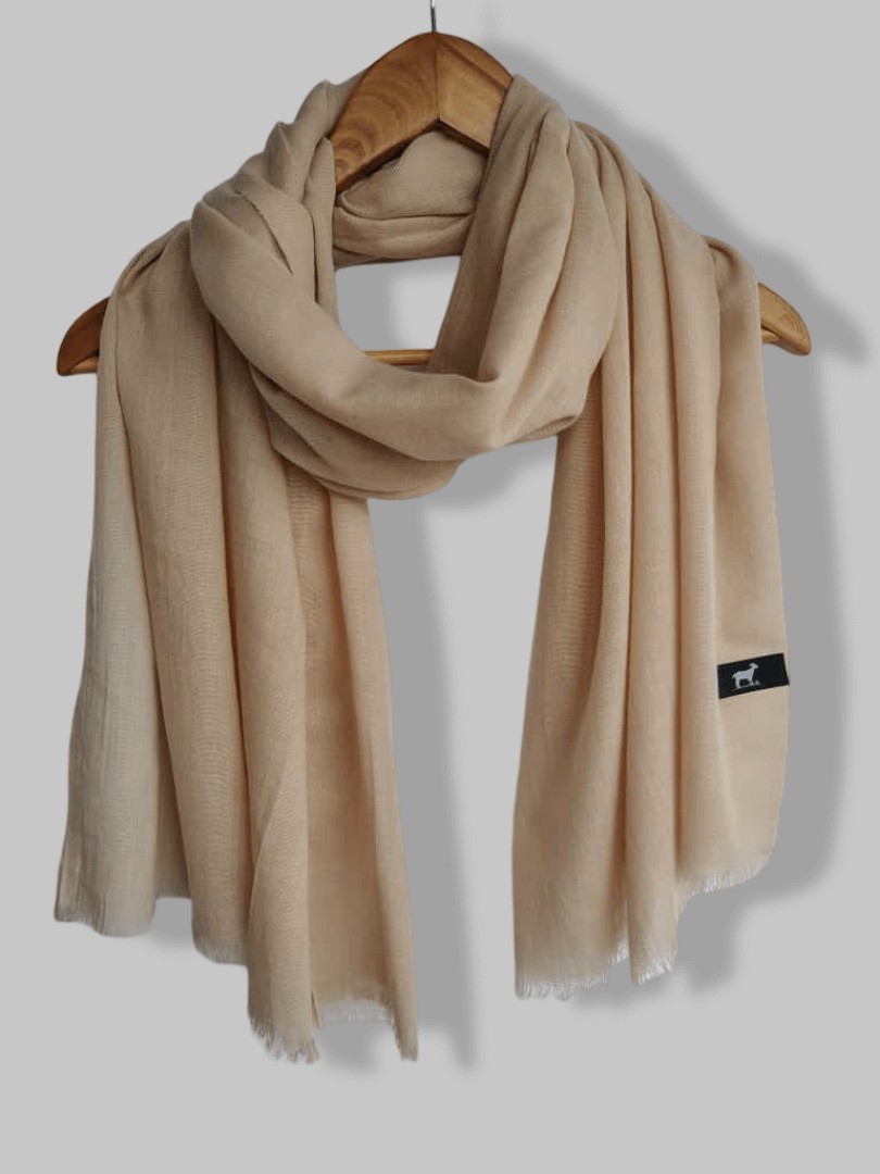 Light Brown Kashmiri Pashmina Stole