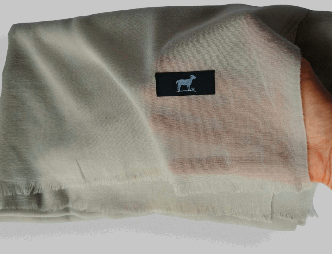 Light Brown Kashmiri Pashmina Stole