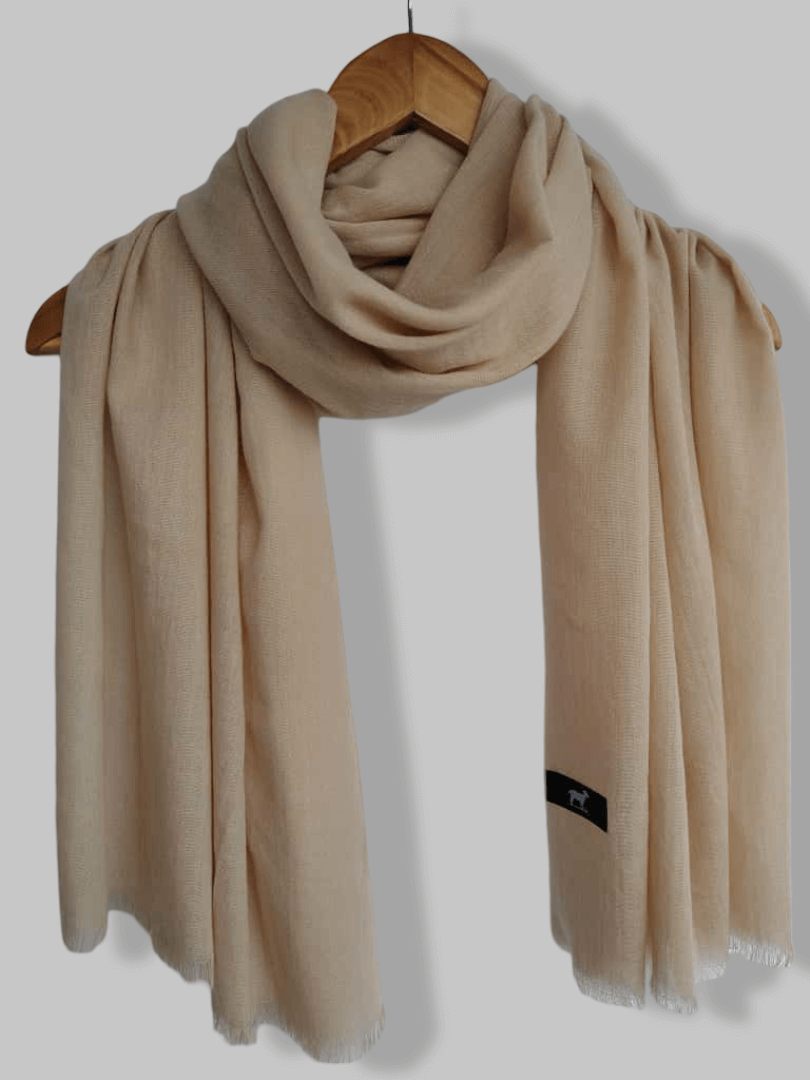 Beige Luxury Kashmiri Pashmina Stole