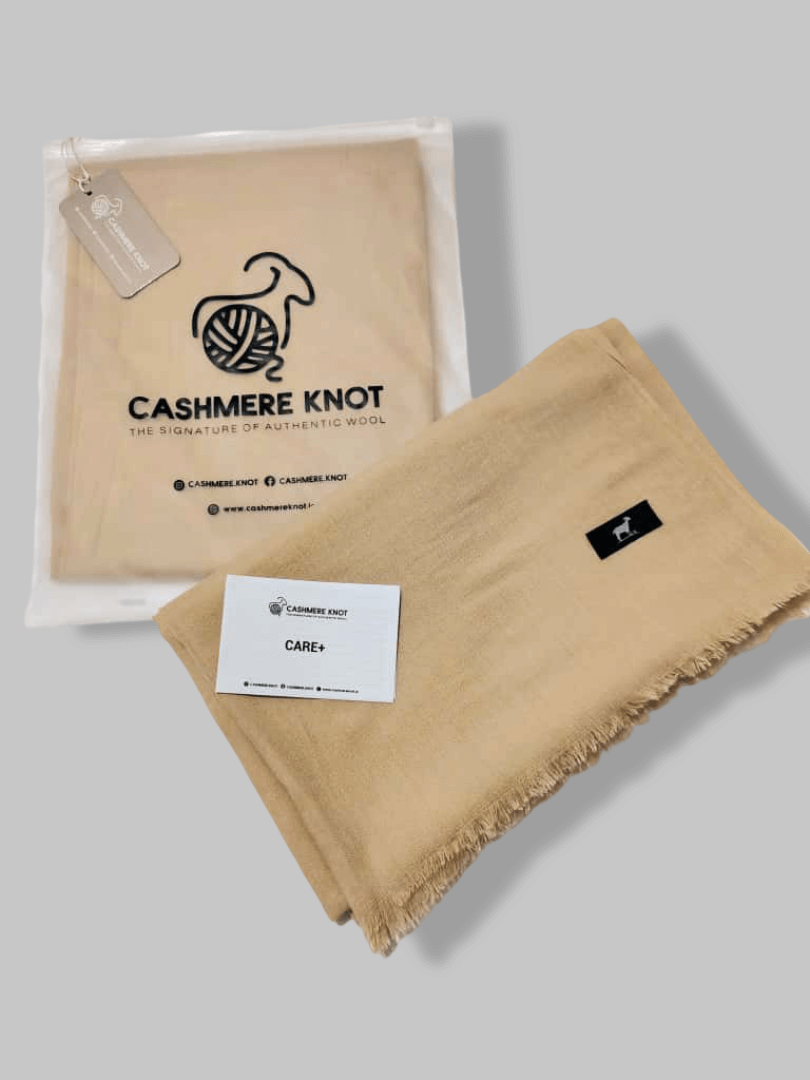 Beige Luxury Kashmiri Pashmina Stole