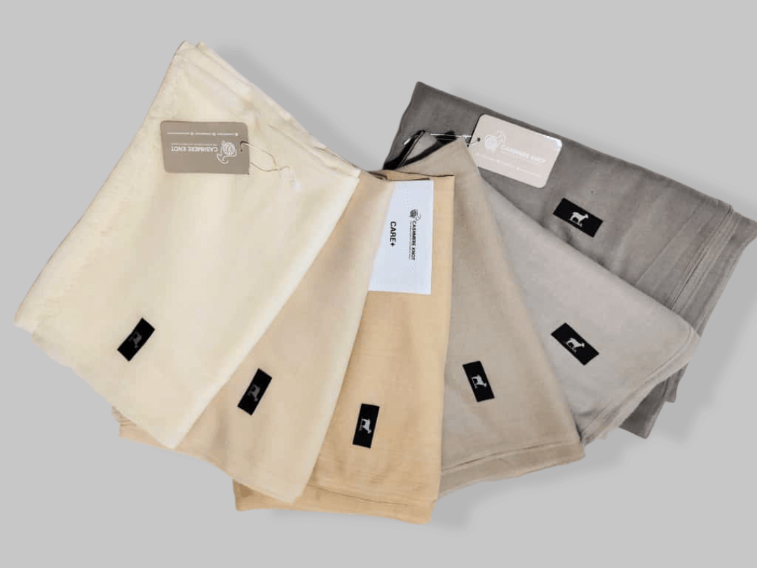 Light Brown Kashmiri Pashmina Stole