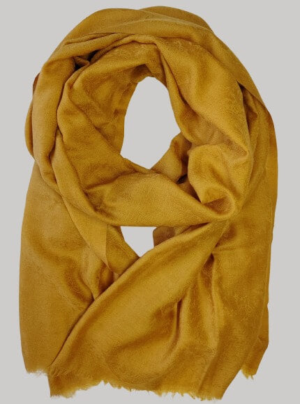 Mustard yellow pure Pashmina stole from Cashmere Knot Ireland, featuring lightweight softness and timeless elegance for women in Ireland